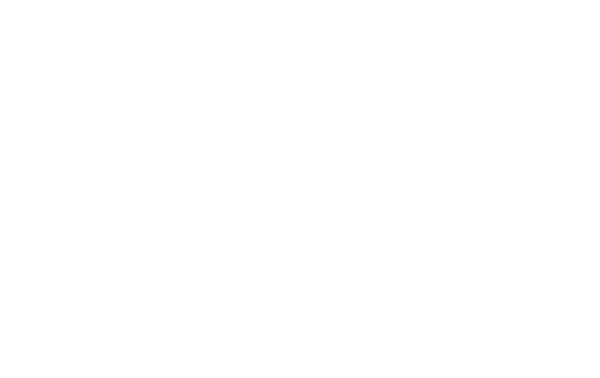 Kosher Mendoza